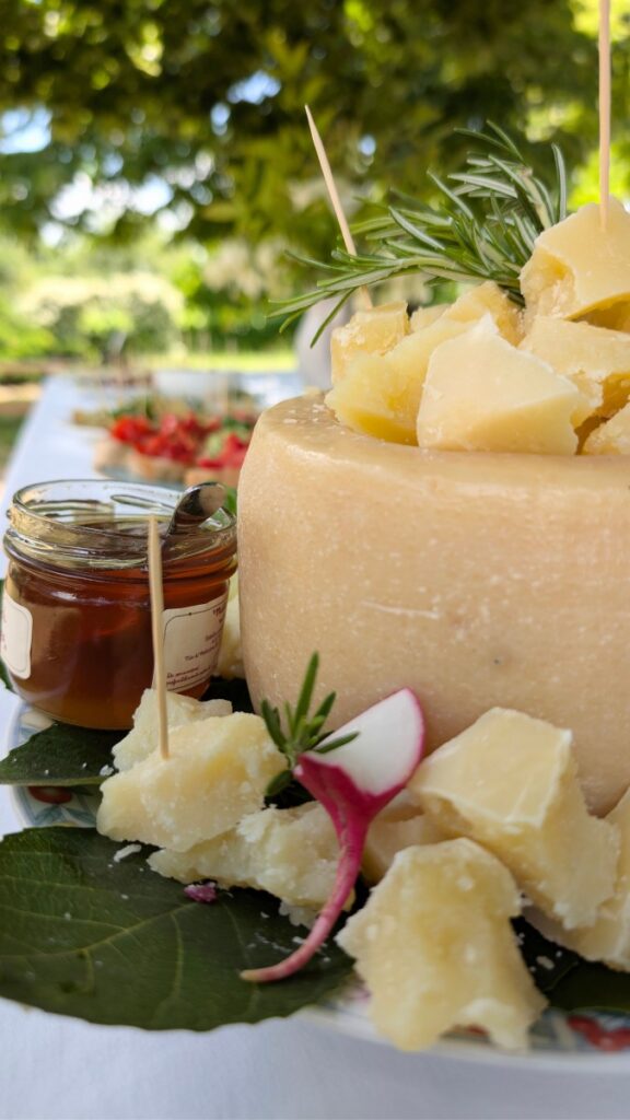Wheel of cheese and honey from local farm